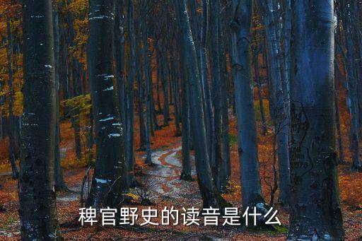 稗官野史的拼音，蟲的拼音