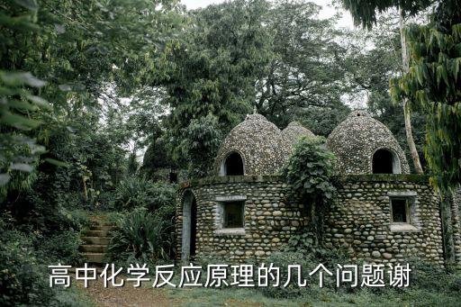 高中化學(xué)反應(yīng)原理，高中化學(xué) 原電池 化學(xué)反應(yīng)原理