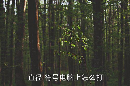  直徑 符號(hào)電腦上怎么打