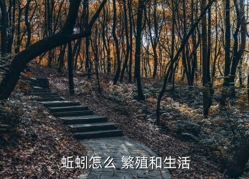 蚯蚓如何繁殖,多數(shù)蚯蚓通過雜交受精繁殖