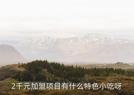 千元加盟小吃店，2千元加盟項目有什么特色小吃呀