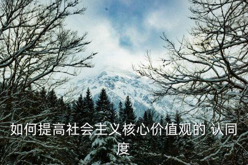 認(rèn)同度,提高大學(xué)生社會(huì)主義核心價(jià)值觀認(rèn)同需要更多科學(xué)