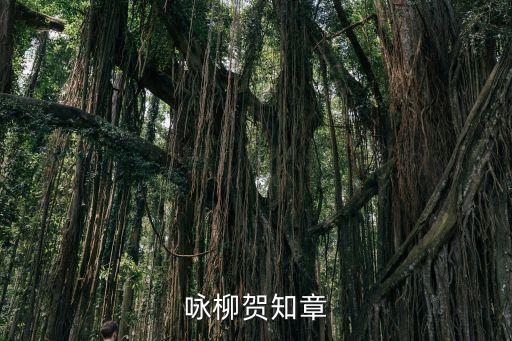 賀知章詠柳，賀知章的詩詞詠柳