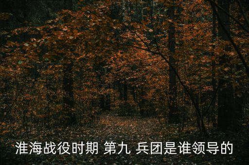 失蹤的第九兵團(tuán),50年代中期解放軍撤銷兵團(tuán)序號