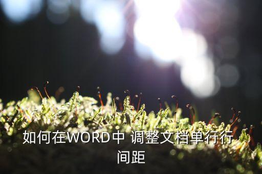 如何在WORD中 調整文檔單行行 間距