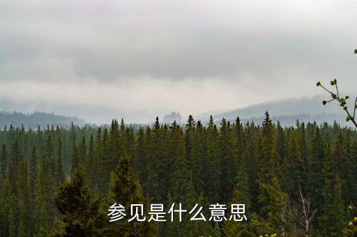 參看，請(qǐng)問faith 怎么發(fā)音 什么意思啊簡(jiǎn)單 吧