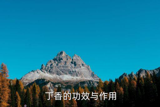  丁香的功效與作用