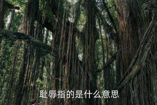 恥辱的意思,關(guān)于恥辱和恥辱的意義