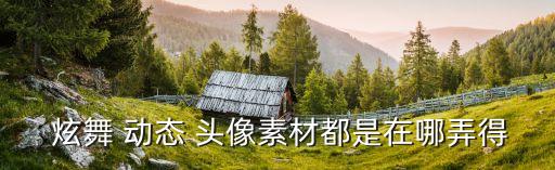 炫舞動(dòng)態(tài)頭像,pscc版及以下動(dòng)態(tài)頭像修改步驟如下