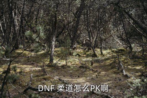 柔道視頻,我也玩柔道和你一樣需要練習