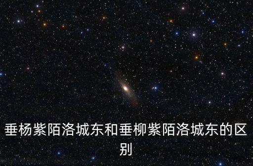 垂楊紫陌洛城東和垂柳紫陌洛城東的區別