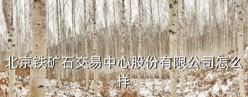 力拓河，國(guó)際礦業(yè)巨頭世界三大鐵礦石供應(yīng)商之一