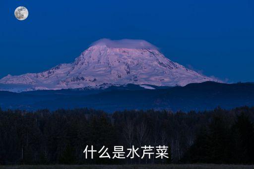 水芹，水芹的功效