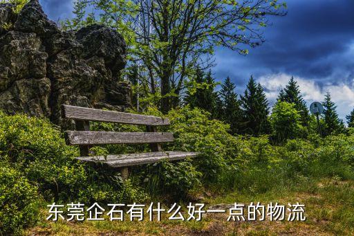 東莞企石食材配送運營，東莞企石有什么好一點的物流