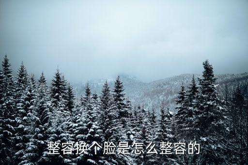 臉部整形,你愿意換臉嗎?整形手術要花費多少?