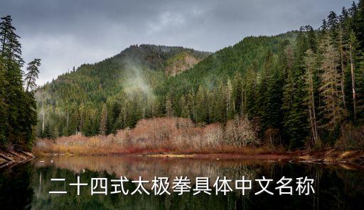 二十四式太極拳具體中文名稱