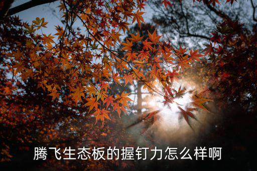 騰飛生態板，騰飛蘇香桐生態板什么價格