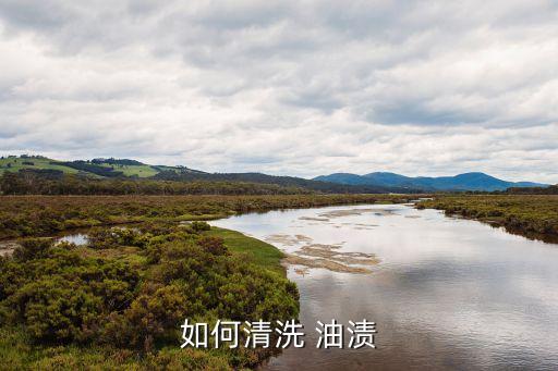 去油漬方法,衣服上的頑固油漬可以去除嗎?