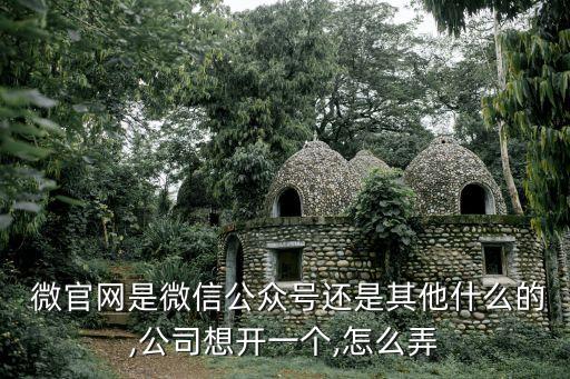  微官網(wǎng)是微信公眾號(hào)還是其他什么的,公司想開(kāi)一個(gè),怎么弄