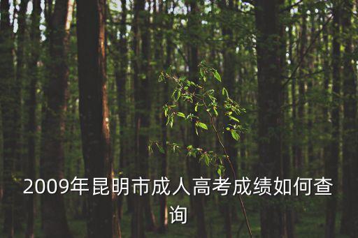 2009年昆明市成人高考成績如何查詢