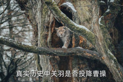 真實(shí)的關(guān)羽，真實(shí)歷史中關(guān)羽是否投降曹操