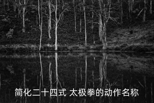 混元24式太極拳,24式太極拳