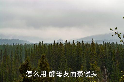 酵母怎么用,酵母用面團蒸包子技巧:加糖提高發酵時間