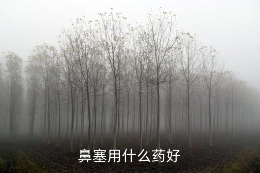 鼻塞用什么藥好
