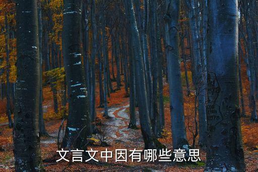 文言文中因有哪些意思