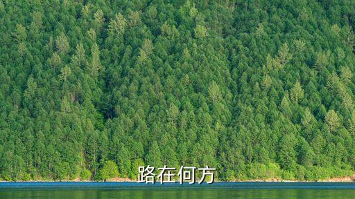 路在何方