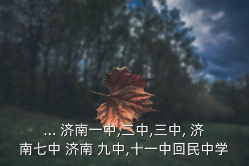 濟(jì)南九中,濟(jì)南七中是山東大學(xué)附屬高中師資力量最強(qiáng)