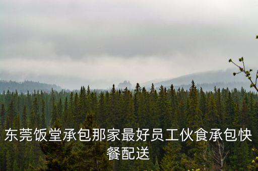 東莞飯堂承包那家最好員工伙食承包快餐配送