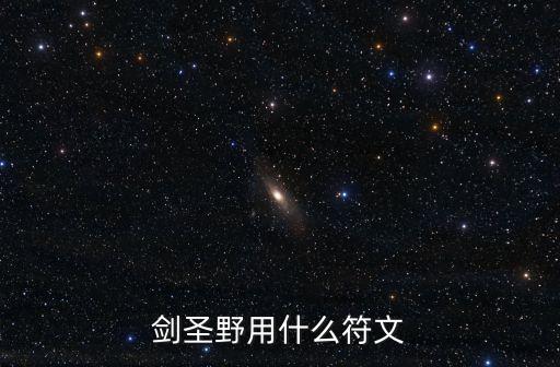 劍圣野用什么符文