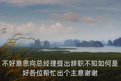 不好意思向總經理提出辭職不知如何是好各位幫忙出個主意謝謝