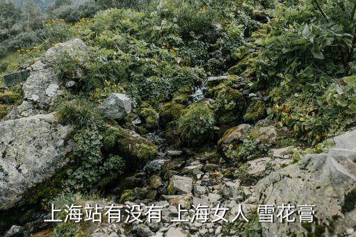  上海站有沒(méi)有 上海女人 雪花膏