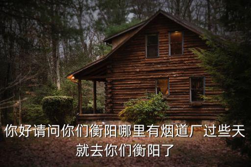 你好請問你們衡陽哪里有煙道廠過些天就去你們衡陽了