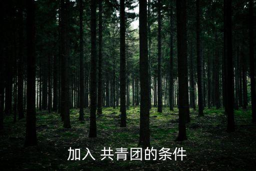 共青團章程,《中國社會主義青年團臨時約法》修訂條款
