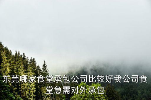 東莞哪家食堂承包公司比較好我公司食堂急需對外承包