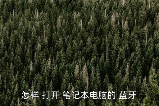 筆記本電腦藍牙在哪里打開,藍牙知多少?問與答（13）