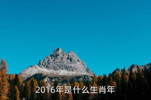 2016年是什么生肖年