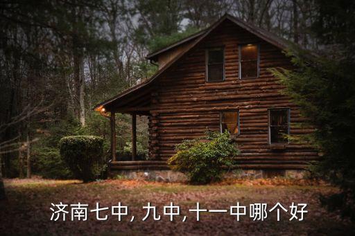  濟南七中, 九中,十一中哪個好