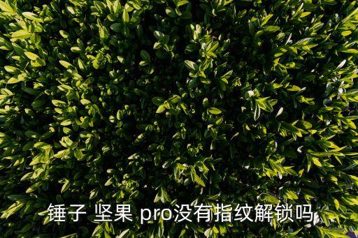 錘子堅果pro,堅果pro克隆攻略:指紋解鎖是賣點