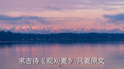 觀刈麥,觀割麥\n（85）第二集