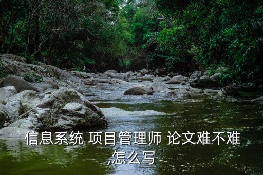 信息系統項目管理師論文