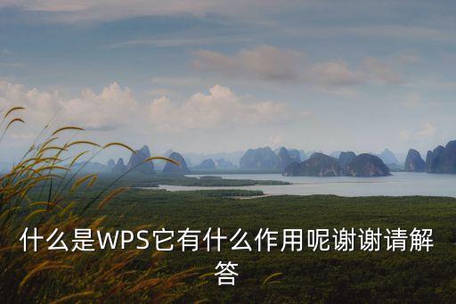 什么是WPS它有什么作用呢謝謝請解答