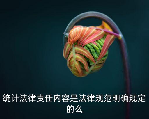 統(tǒng)計法律責任內(nèi)容是法律規(guī)范明確規(guī)定的么