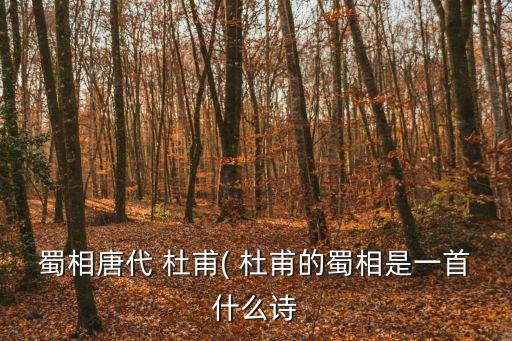 杜甫的蜀相,杜甫詩意濃濃的蜀相之名