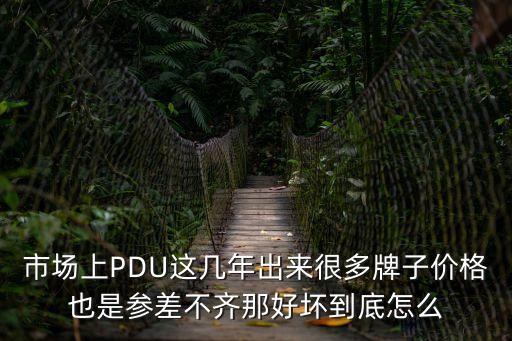 市場上PDU這幾年出來很多牌子價(jià)格也是參差不齊那好壞到底怎么