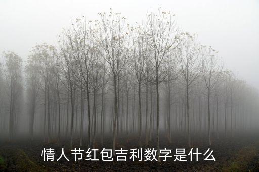 情人節(jié)紅包吉利數(shù)字是什么