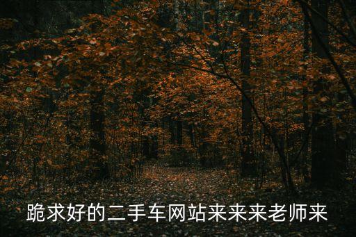 跪求好的二手車網站來來來老師來